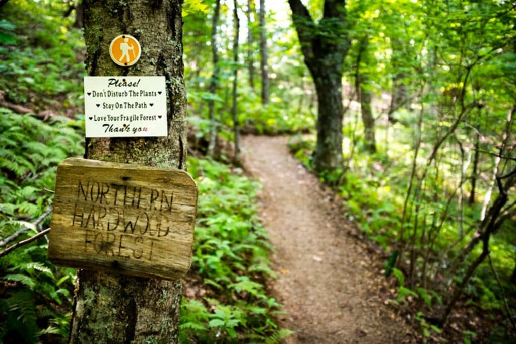 asheville nc zipline tours