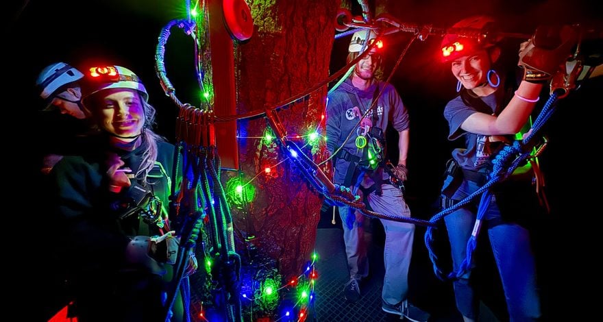 Twilight Zip guests in headlamps on a lit tree platform at night
